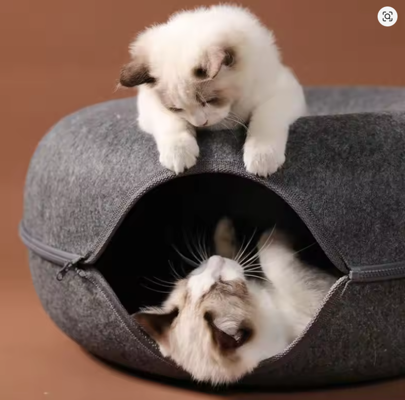 Cuccia di design per gatti