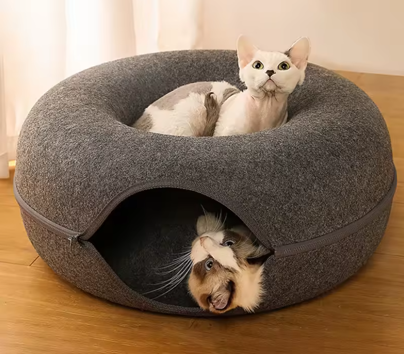 Cuccia di design per gatti