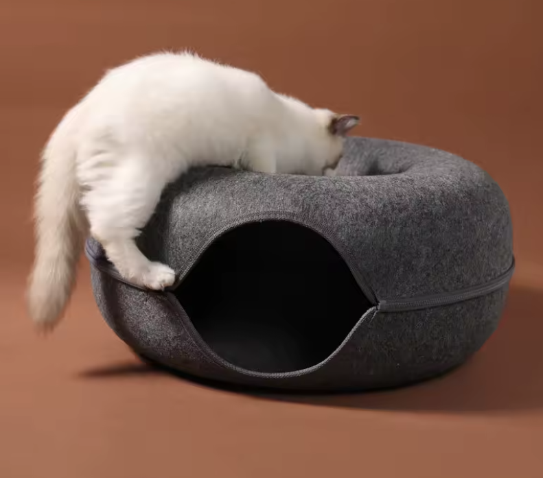 Cuccia di design per gatti